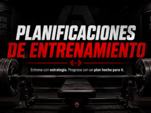 Planificaciones de entrenamiento